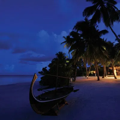 Magu's cover image