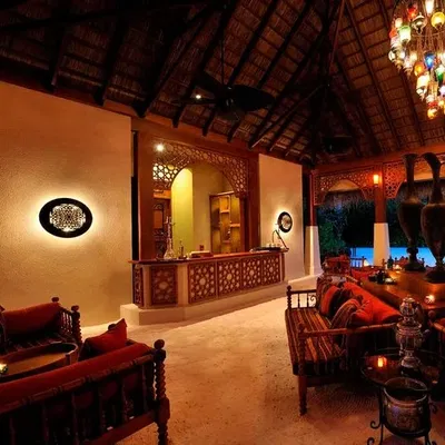 Ottoman Lounge's cover image