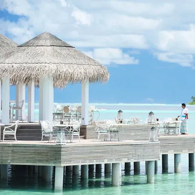 Ocean Breeze's cover image